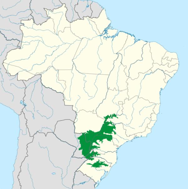 Remaining Atlantic Rainforest