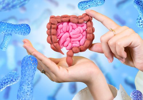 Fungal beta-glucans in ABM help support immune balance and gut microbiota